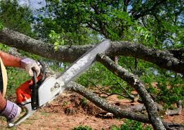 Best Lawn Grading and Leveling  in Oakdale, LA